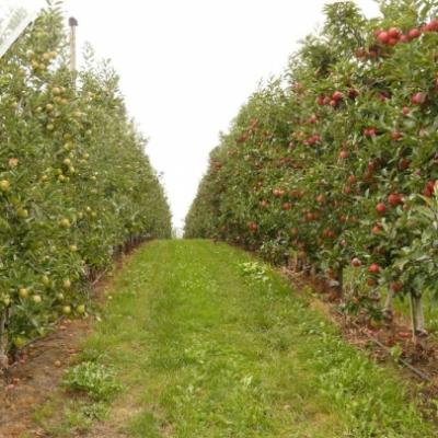 Phpthumb Generated Thumbnailjpg