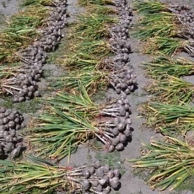 Fd608d5a5f939ec39141a7e10eed61b1